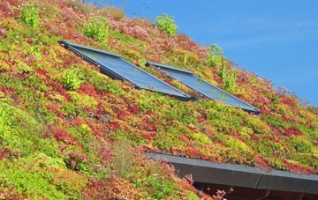 Little Whittingham Green living roof systems