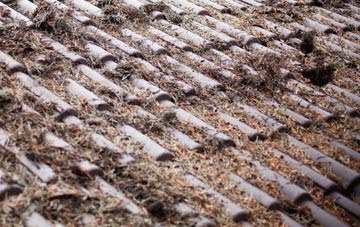 Little Whittingham Green roof cleaning companies