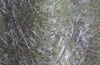 Little Whittingham Green fibreglass roof work